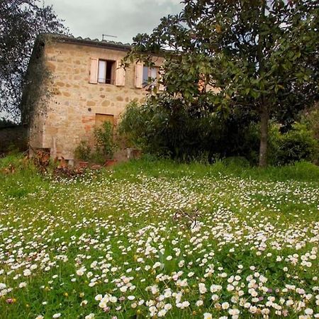 La Vigna Agriturismo Βίλα Σιένα Εξωτερικό φωτογραφία