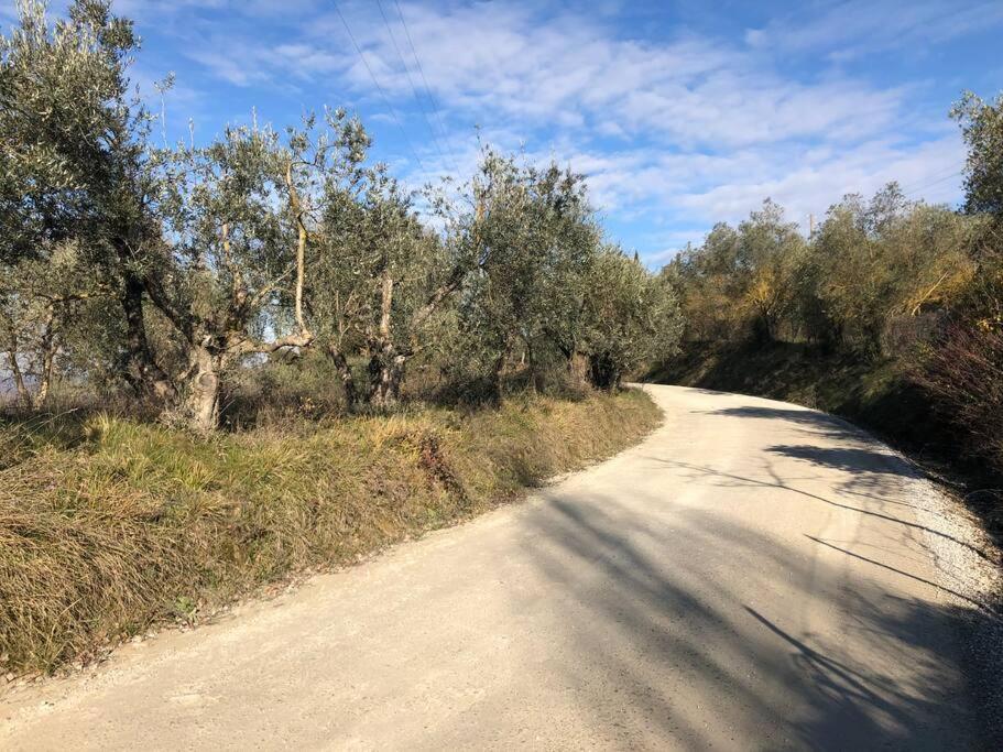 La Vigna Agriturismo Βίλα Σιένα Εξωτερικό φωτογραφία