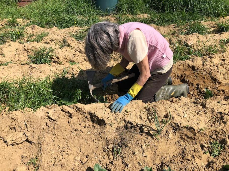 La Vigna Agriturismo Βίλα Σιένα Εξωτερικό φωτογραφία