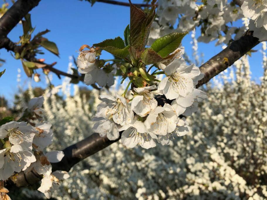 La Vigna Agriturismo Βίλα Σιένα Εξωτερικό φωτογραφία