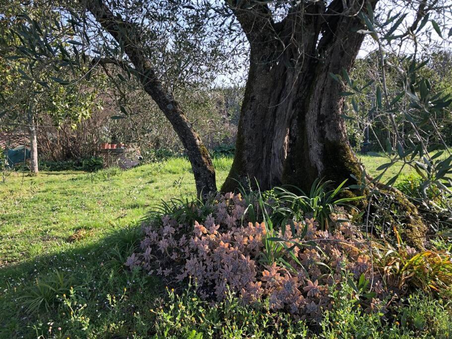 La Vigna Agriturismo Βίλα Σιένα Εξωτερικό φωτογραφία