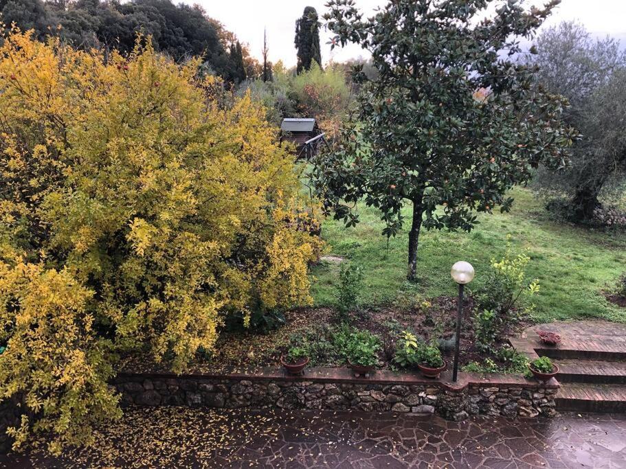 La Vigna Agriturismo Βίλα Σιένα Εξωτερικό φωτογραφία
