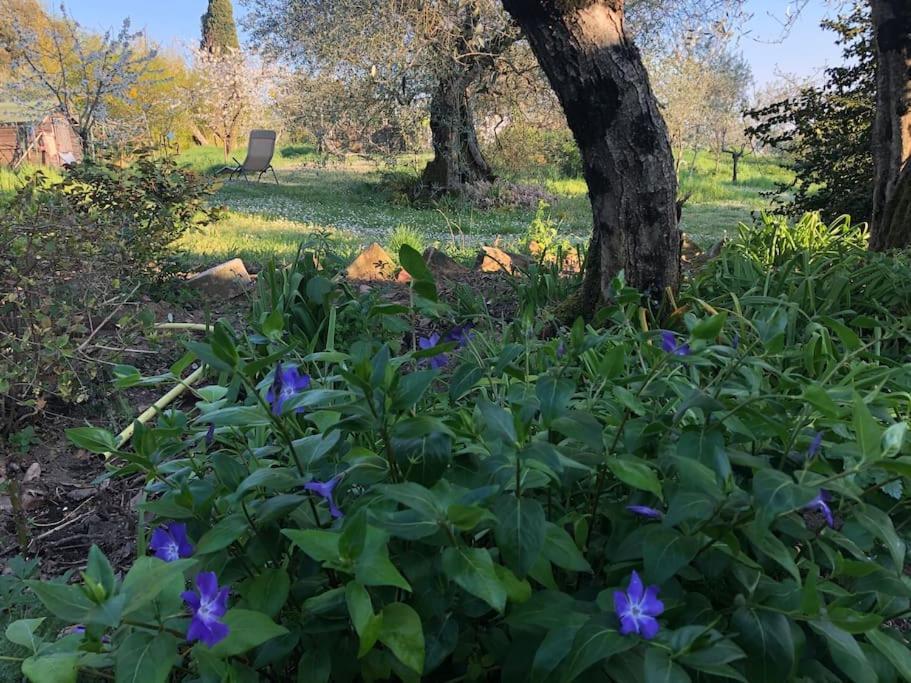 La Vigna Agriturismo Βίλα Σιένα Εξωτερικό φωτογραφία