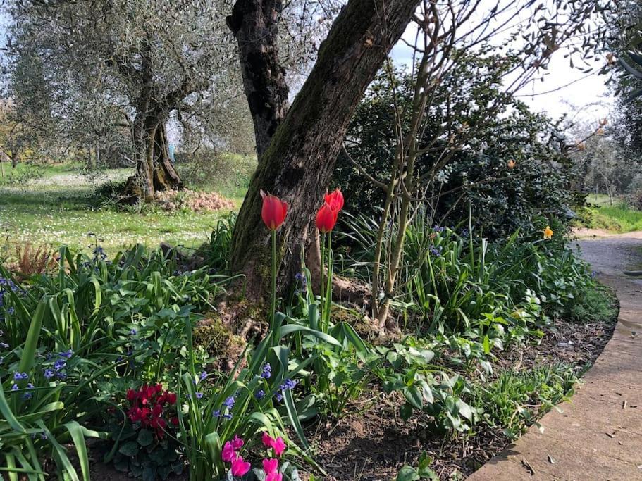 La Vigna Agriturismo Βίλα Σιένα Εξωτερικό φωτογραφία
