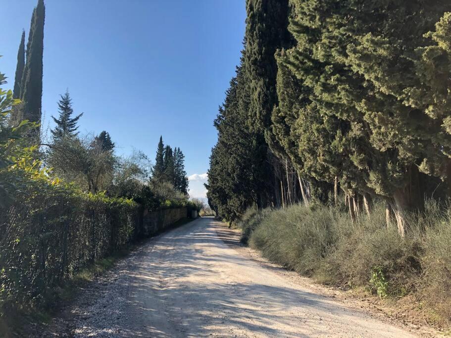 La Vigna Agriturismo Βίλα Σιένα Εξωτερικό φωτογραφία