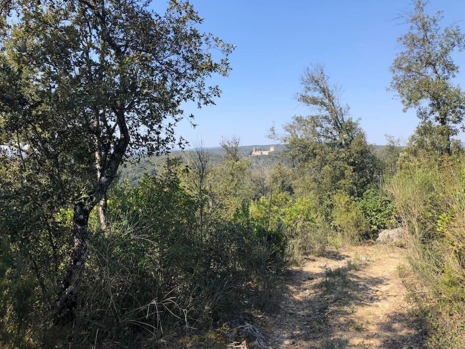La Vigna Agriturismo Βίλα Σιένα Εξωτερικό φωτογραφία