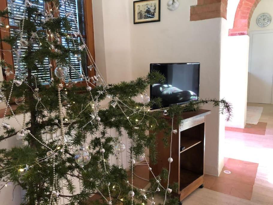 La Vigna Agriturismo Βίλα Σιένα Εξωτερικό φωτογραφία