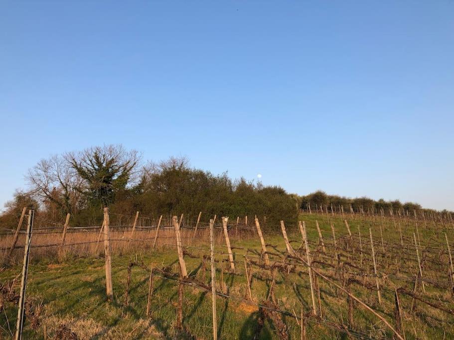 La Vigna Agriturismo Βίλα Σιένα Εξωτερικό φωτογραφία