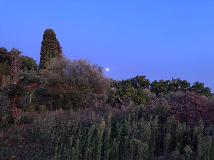 La Vigna Agriturismo Βίλα Σιένα Εξωτερικό φωτογραφία