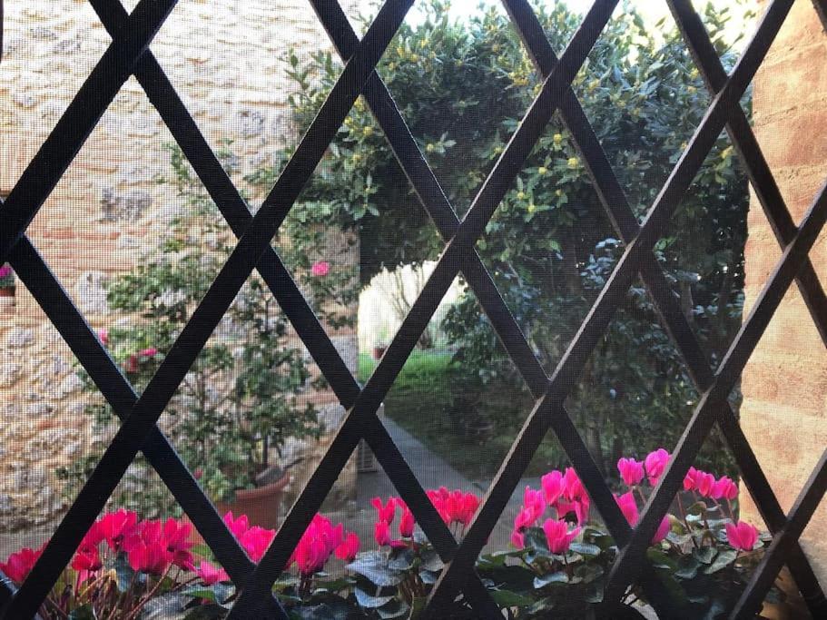 La Vigna Agriturismo Βίλα Σιένα Εξωτερικό φωτογραφία