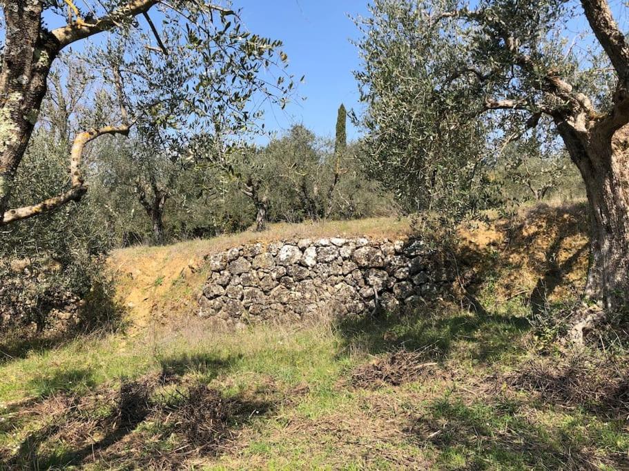 La Vigna Agriturismo Βίλα Σιένα Εξωτερικό φωτογραφία