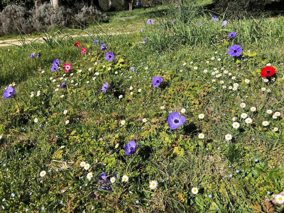 La Vigna Agriturismo Βίλα Σιένα Εξωτερικό φωτογραφία