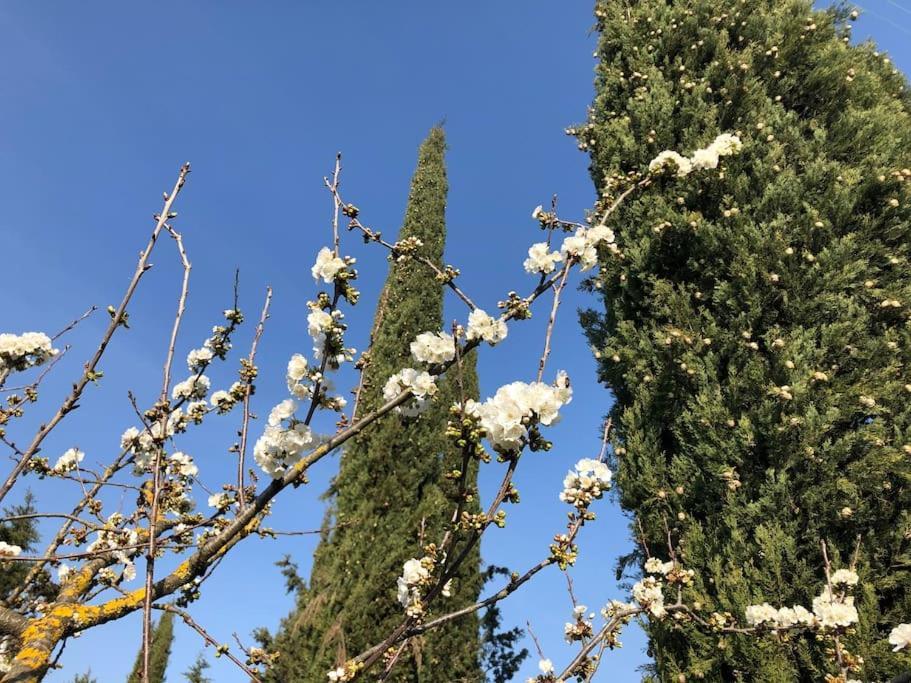La Vigna Agriturismo Βίλα Σιένα Εξωτερικό φωτογραφία